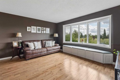 744 Riverbend Drive Se, Calgary, AB - Indoor Photo Showing Living Room