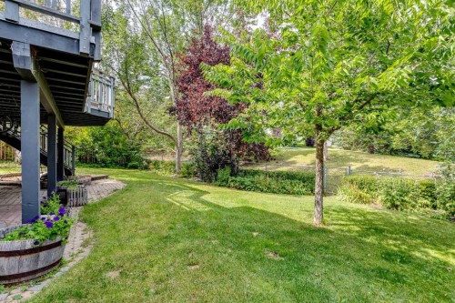 337 Sandringham Court Nw, Calgary, AB - Outdoor