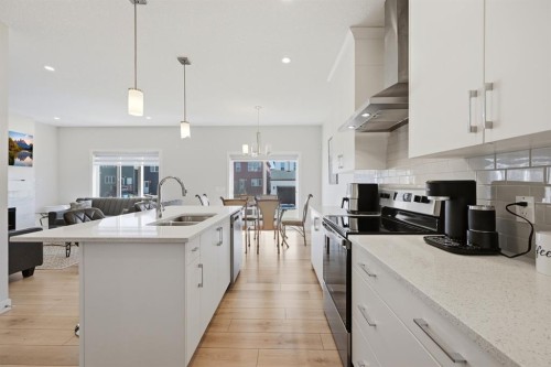 96 Homestead Grove Ne, Calgary, AB - Indoor Photo Showing Kitchen With Double Sink With Upgraded Kitchen