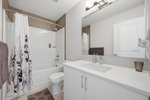 96 Homestead Grove Ne, Calgary, AB - Indoor Photo Showing Bathroom