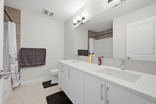 96 Homestead Grove Ne, Calgary, AB - Indoor Photo Showing Bathroom