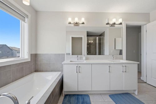 96 Homestead Grove Ne, Calgary, AB - Indoor Photo Showing Bathroom