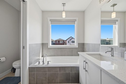 96 Homestead Grove Ne, Calgary, AB - Indoor Photo Showing Bathroom