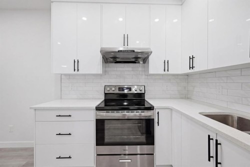 96 Homestead Grove Ne, Calgary, AB - Indoor Photo Showing Kitchen With Upgraded Kitchen