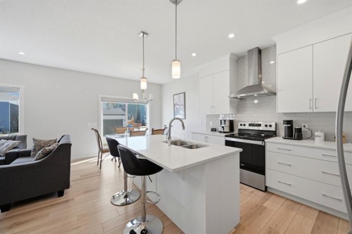 96 Homestead Grove Ne, Calgary, AB - Indoor Photo Showing Kitchen With Double Sink With Upgraded Kitchen