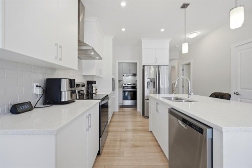 96 Homestead Grove Ne, Calgary, AB - Indoor Photo Showing Kitchen With Double Sink With Upgraded Kitchen