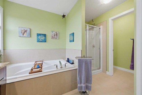 224 Kingston Way Se, Airdrie, AB - Indoor Photo Showing Bathroom