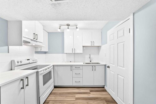 77 Martinbrook Road Ne, Calgary, AB 