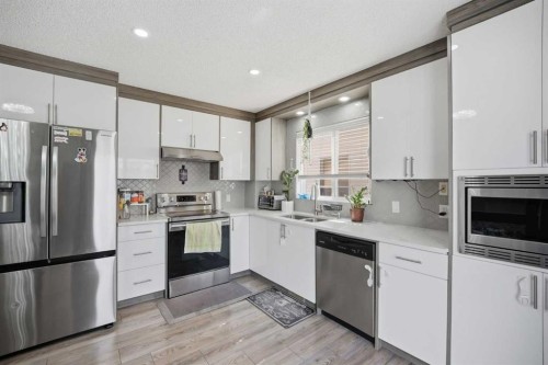 9 Martindale Crescent Ne, Calgary, AB - Indoor Photo Showing Kitchen With Stainless Steel Kitchen With Double Sink