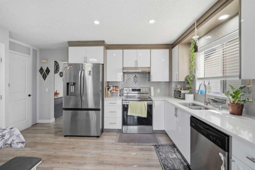 9 Martindale Crescent Ne, Calgary, AB - Indoor Photo Showing Kitchen With Stainless Steel Kitchen With Double Sink