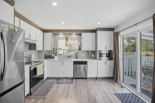 9 Martindale Crescent Ne, Calgary, AB - Indoor Photo Showing Kitchen With Stainless Steel Kitchen