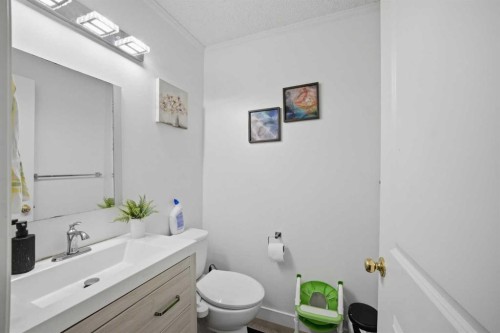 9 Martindale Crescent Ne, Calgary, AB - Indoor Photo Showing Bathroom