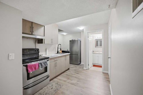 9 Martindale Crescent Ne, Calgary, AB - Indoor Photo Showing Kitchen