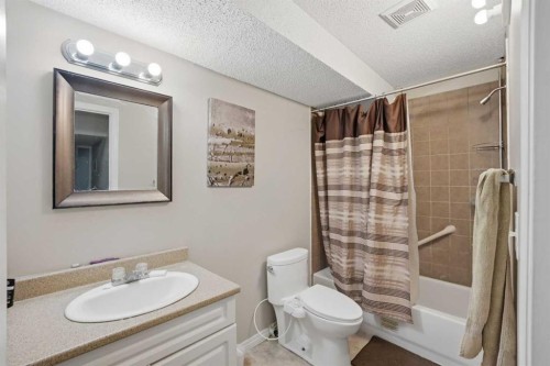 9 Martindale Crescent Ne, Calgary, AB - Indoor Photo Showing Bathroom