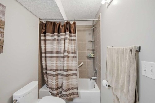 9 Martindale Crescent Ne, Calgary, AB - Indoor Photo Showing Bathroom