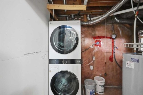 9 Martindale Crescent Ne, Calgary, AB - Indoor Photo Showing Laundry Room