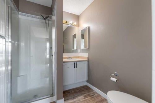 139 Los Alamos Place Ne, Calgary, AB - Indoor Photo Showing Bathroom