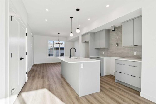 294 Belvedere Avenue Se, Calgary, AB - Indoor Photo Showing Kitchen With Upgraded Kitchen