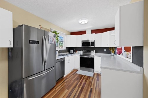 20 Falton Way Ne, Calgary, AB - Indoor Photo Showing Kitchen With Stainless Steel Kitchen With Double Sink
