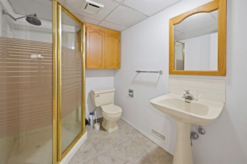 20 Falton Way Ne, Calgary, AB - Indoor Photo Showing Bathroom