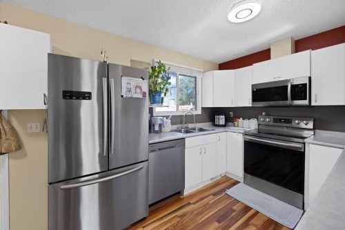 20 Falton Way Ne, Calgary, AB - Indoor Photo Showing Kitchen With Stainless Steel Kitchen With Double Sink