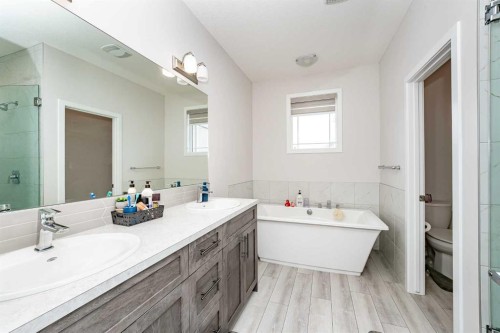 717 Windrow Manor Sw, Airdrie, AB - Indoor Photo Showing Bathroom