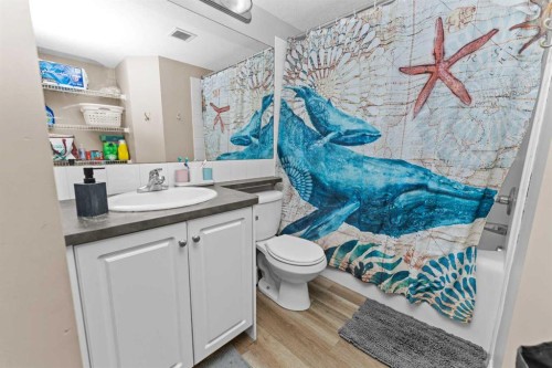 208-2000 Applevillage Court Se, Calgary, AB - Indoor Photo Showing Bathroom