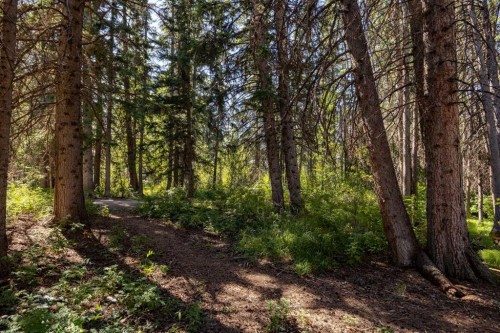14 Pinewood Crescent, Canmore, AB 