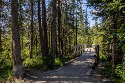 14 Pinewood Crescent, Canmore, AB 