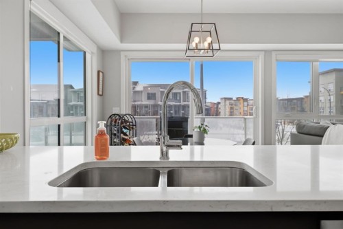 224-4150 Seton Drive Se, Calgary, AB - Indoor Photo Showing Kitchen With Double Sink
