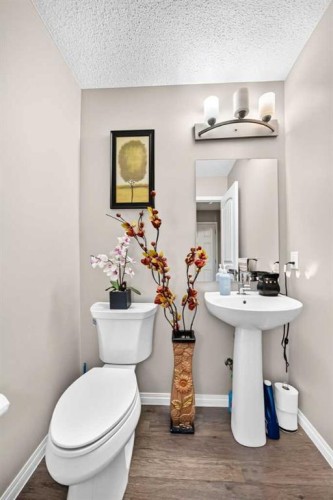 1108 Cornerstone Street Ne, Calgary, AB - Indoor Photo Showing Bathroom