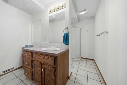 165 Douglasview Rise Se, Calgary, AB - Indoor Photo Showing Bathroom