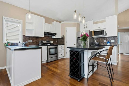 165 Douglasview Rise Se, Calgary, AB - Indoor Photo Showing Kitchen With Upgraded Kitchen