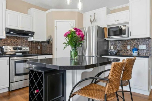 165 Douglasview Rise Se, Calgary, AB - Indoor Photo Showing Kitchen With Upgraded Kitchen