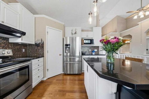 165 Douglasview Rise Se, Calgary, AB - Indoor Photo Showing Kitchen With Upgraded Kitchen
