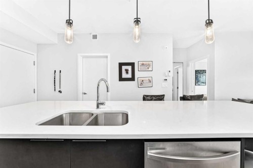 2308-220 Seton Grove Se, Calgary, AB - Indoor Photo Showing Kitchen With Double Sink