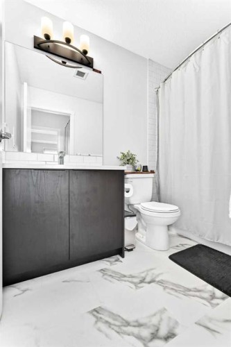 2308-220 Seton Grove Se, Calgary, AB - Indoor Photo Showing Bathroom