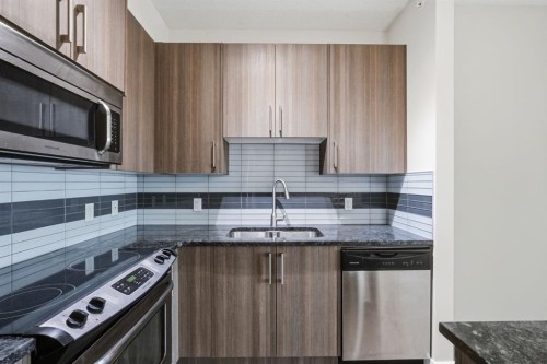 306-4 Sage Hill Terrace Nw, Calgary, AB - Indoor Photo Showing Kitchen With Double Sink With Upgraded Kitchen