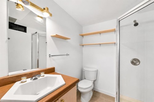 44-4936 Dalton Drive Nw, Calgary, AB - Indoor Photo Showing Bathroom