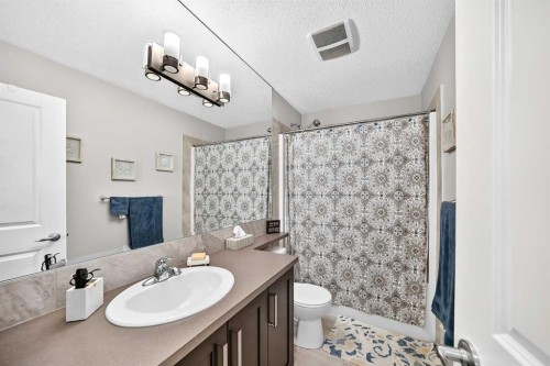 125 Ranch Rise, Strathmore, AB - Indoor Photo Showing Bathroom