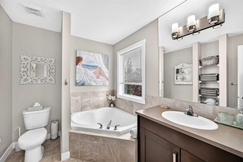 125 Ranch Rise, Strathmore, AB - Indoor Photo Showing Bathroom