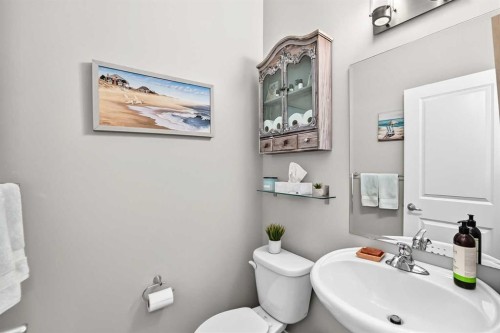 125 Ranch Rise, Strathmore, AB - Indoor Photo Showing Bathroom