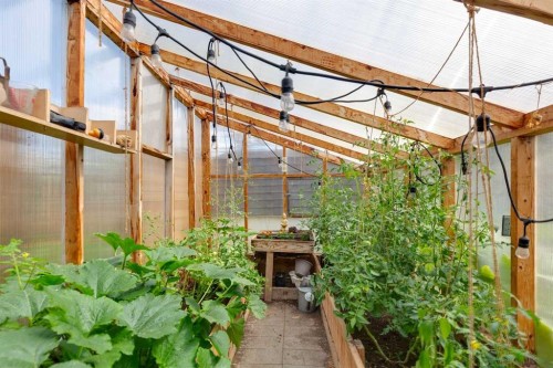 7304 5 Street Sw, Calgary, AB - Indoor