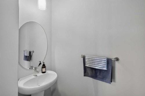 52 Saddlestone Drive Ne, Calgary, AB - Indoor Photo Showing Bathroom