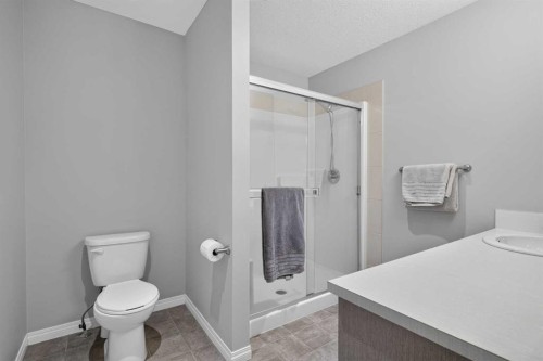 52 Saddlestone Drive Ne, Calgary, AB - Indoor Photo Showing Bathroom
