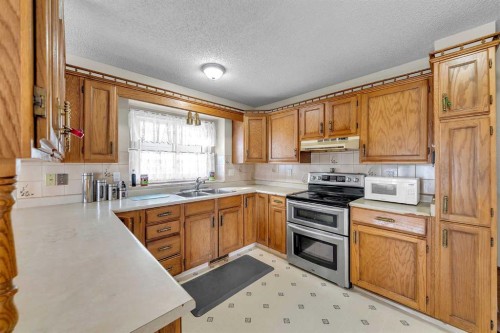 28 Macewan Meadow Link Nw, Calgary, AB - Indoor Photo Showing Kitchen With Double Sink