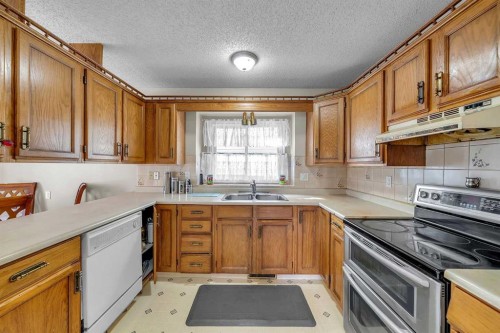28 Macewan Meadow Link Nw, Calgary, AB - Indoor Photo Showing Kitchen With Double Sink