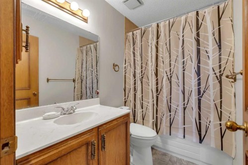 28 Macewan Meadow Link Nw, Calgary, AB - Indoor Photo Showing Bathroom