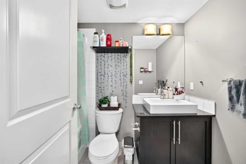 1106-155 Skyview Ranch Way Ne, Calgary, AB 