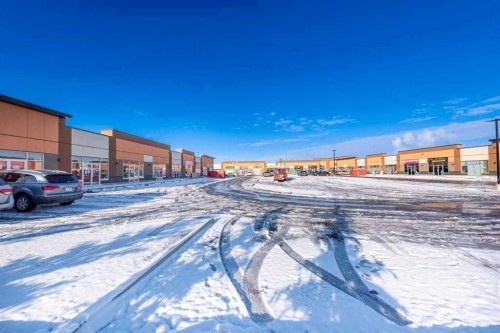 1119-4058 109 Avenue Ne, Calgary, AB 